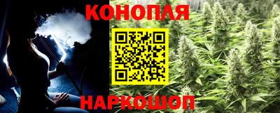 сатива Коммунар