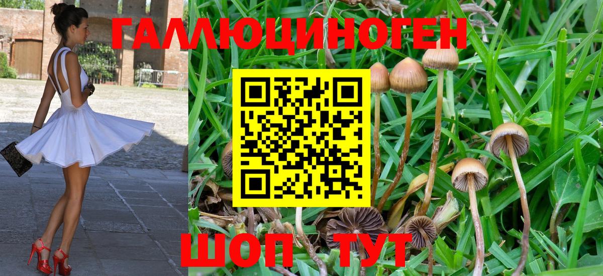Коркино  Галлюциногенные грибы GOLDEN TEACHER  Псилоцибиновые грибы ЛСД  Вход с VPN 