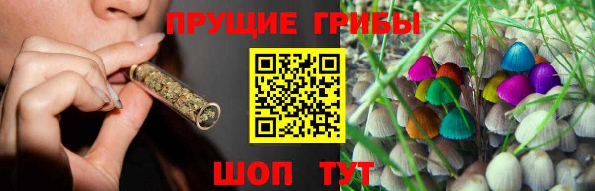 Галлюциногенные грибы ЛСД Коркино